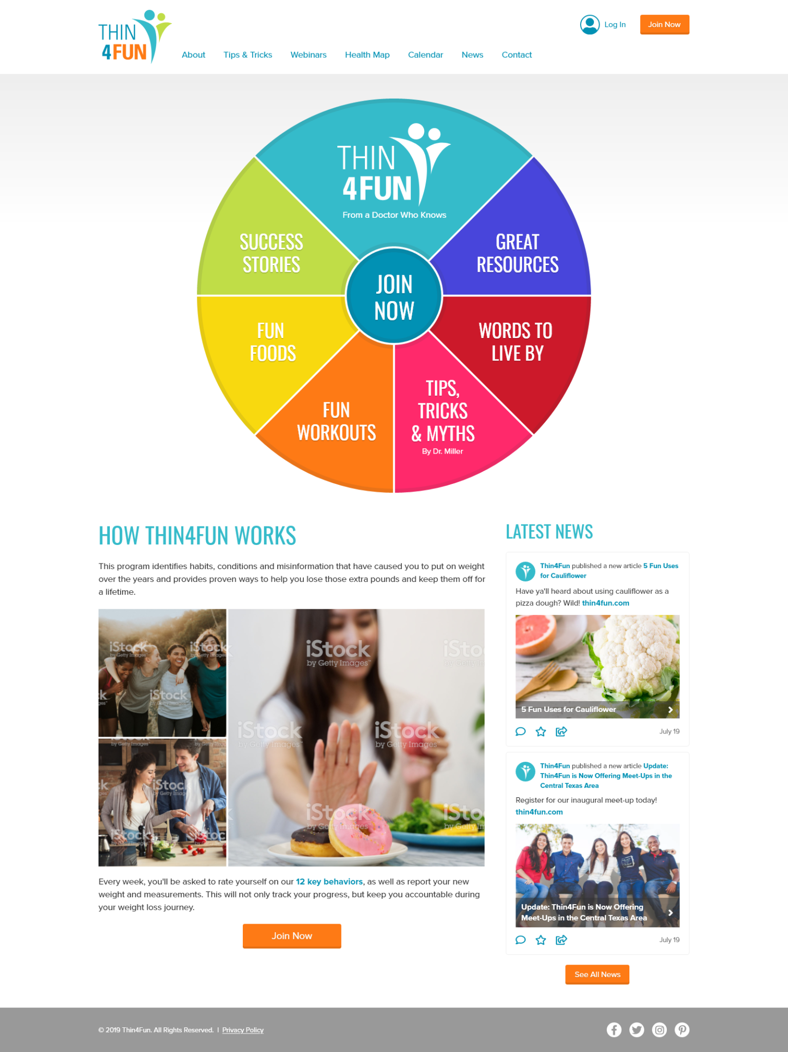 Thin4Fun site home page design